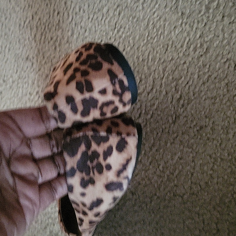Leopard flats - Picture 4 of 4
